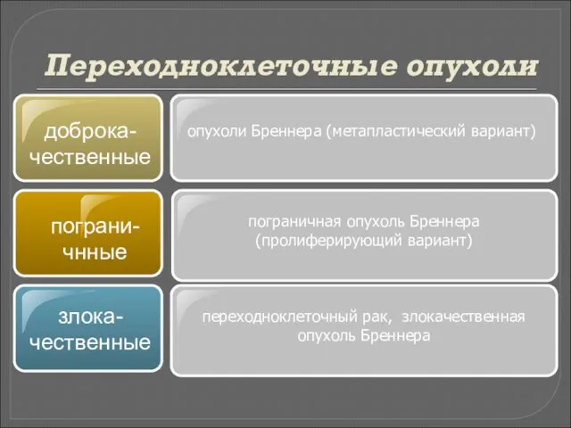 Переходноклеточные опухоли доброка-чественные пограни-чнные пограничная опухоль Бреннера (пролиферирующий вариант) опухоли Бреннера