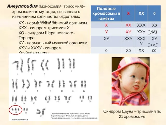 ХХ - нормальный женский организм. ХХХ - синдром трисомии Х. ХО