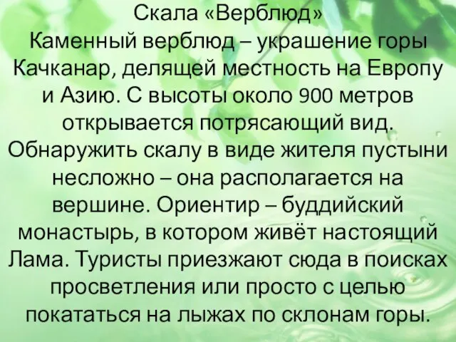 Скала «Верблюд» Каменный верблюд – украшение горы Качканар, делящей местность на