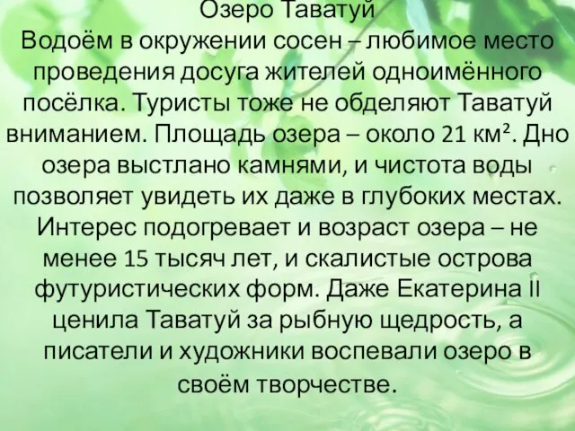 Озеро Таватуй Водоём в окружении сосен – любимое место проведения досуга