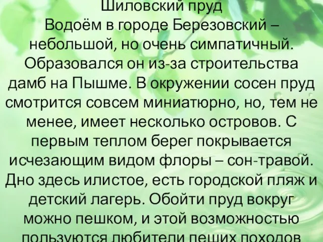 Шиловский пруд Водоём в городе Березовский – небольшой, но очень симпатичный.