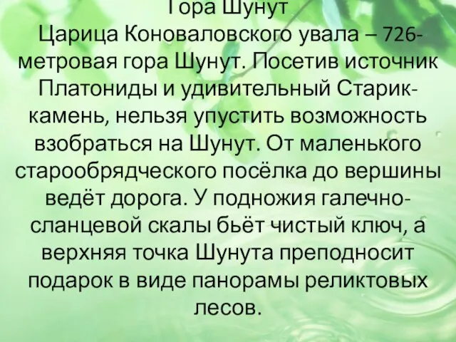 Гора Шунут Царица Коноваловского увала – 726-метровая гора Шунут. Посетив источник