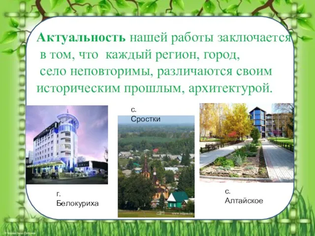 С. Алтайское Актуальность нашей работы заключается в том, что каждый регион,