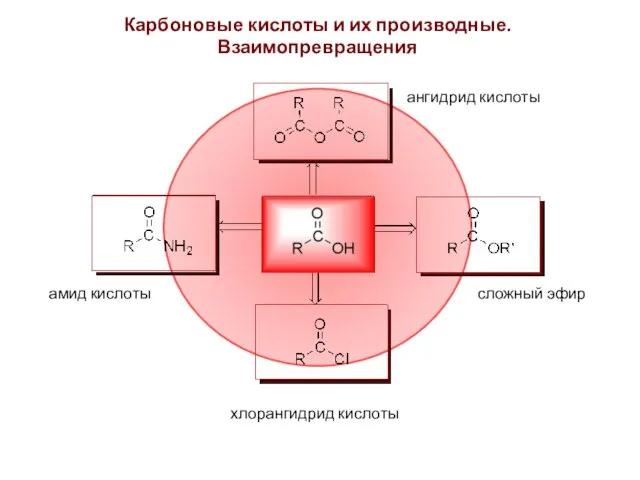 Карбоновые кислоты и их производные. Взаимопревращения ангидрид кислоты сложный эфир хлорангидрид кислоты амид кислоты