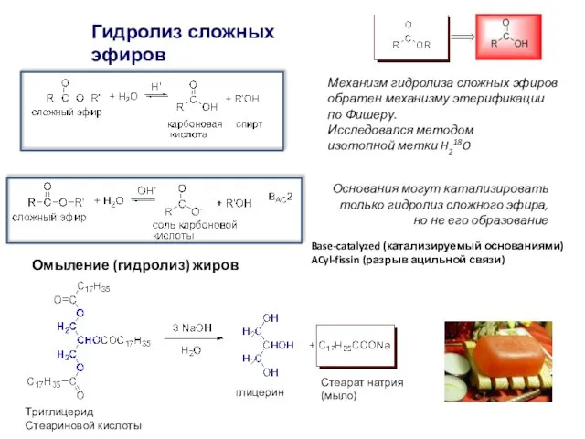 Гидролиз сложных эфиров Механизм гидролиза сложных эфиров обратен механизму этерификации по