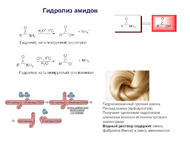 Гидролиз амидов Гидролизованный протеин шелка, Пептид шелка (Hydrolyzed Silk) Получают щелочным