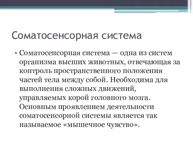 Соматосенсорная система Соматосенсорная система — одна из систем организма высших животных,