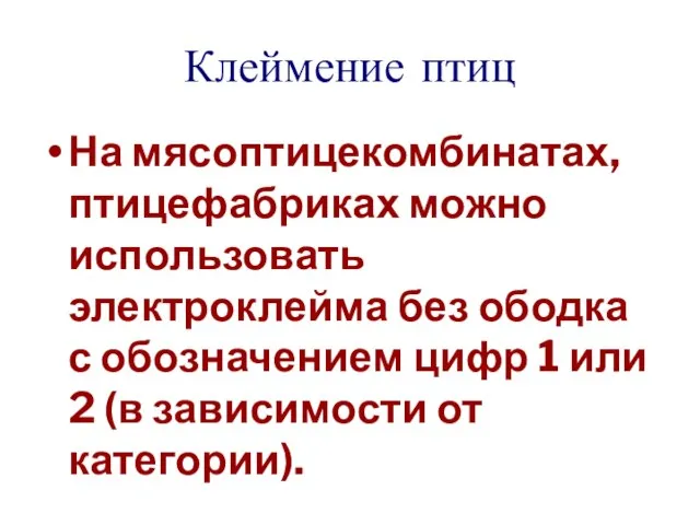 Клеймение птиц На мясоптицекомбинатах, птицефабриках можно использовать электроклейма без ободка с