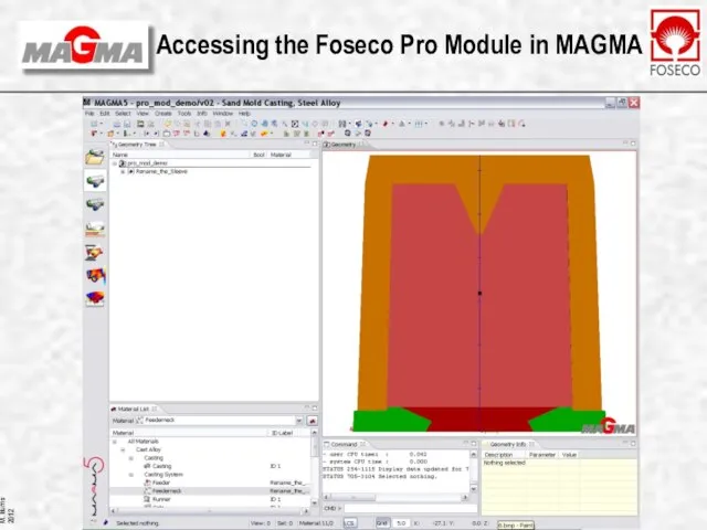 Accessing the Foseco Pro Module in MAGMA