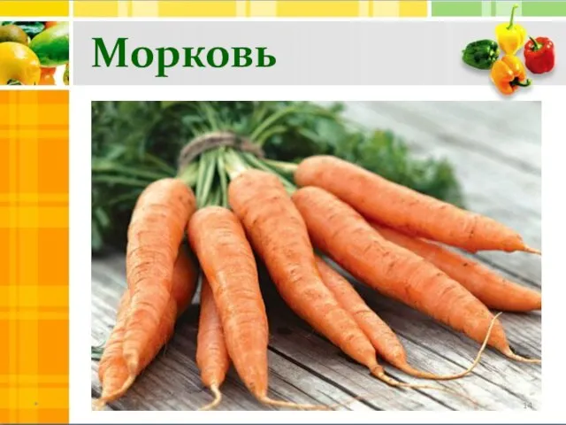 Морковь *