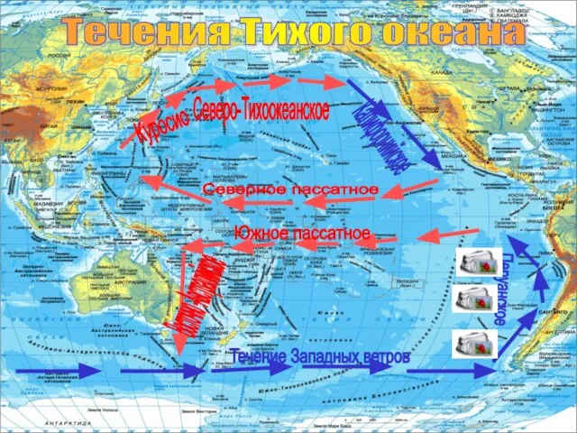 Течения Тихого океана Куросио Северо-Тихоокеанское Калифорнийское Северное пассатное Южное пассатное Восточно -Австралийское Течение Западных ветров Перуанское