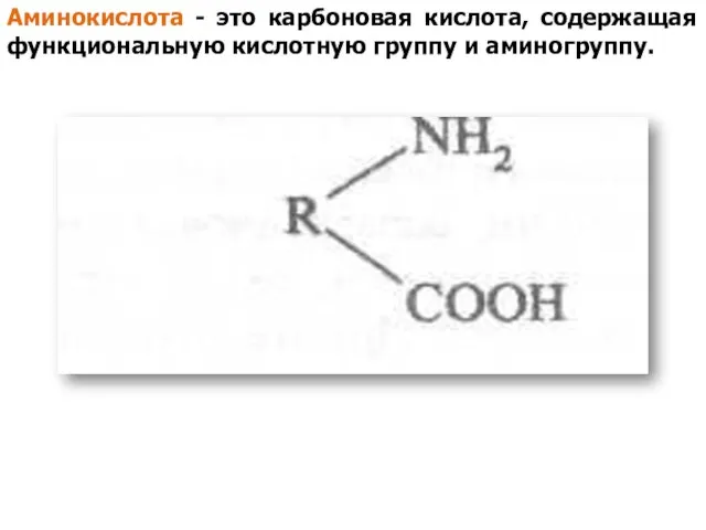 Аминокислота - это карбоновая кислота, содержащая функциональную кислотную группу и аминогруппу.