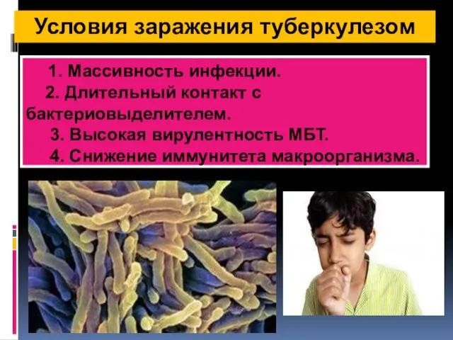 1. Массивность инфекции. 2. Длительный контакт с бактериовыделителем. 3. Высокая вирулентность