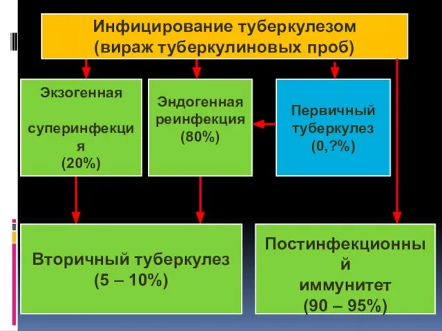 Первичный туберкулез (0,?%) Экзогенная суперинфекция (20%) Эндогенная реинфекция (80%) Постинфекционный иммунитет