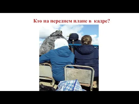 Кто на переднем плане в кадре?