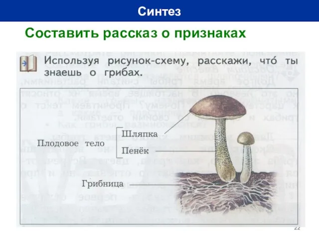 Синтез Составить рассказ о признаках