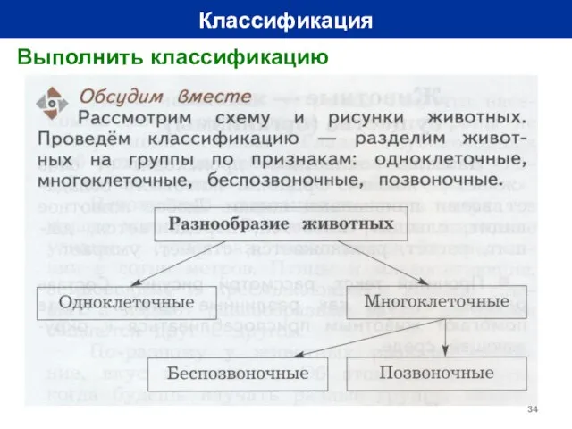 Классификация Выполнить классификацию