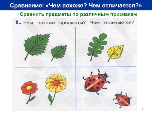 Сравнение: «Чем похоже? Чем отличается?» Сравнить предметы по различным признакам