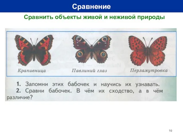 Сравнение Сравнить объекты живой и неживой природы