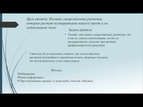 Цель проекта: Изучить лекарственные растения, которые растут на территории нашего города