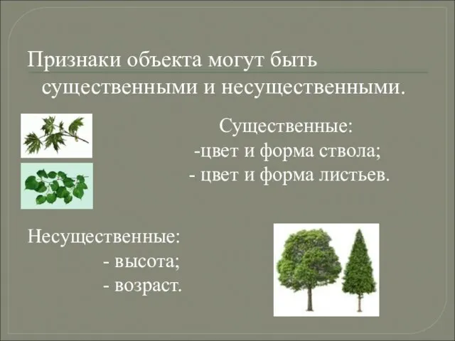 Признаки объекта могут быть существенными и несущественными. Существенные: -цвет и форма