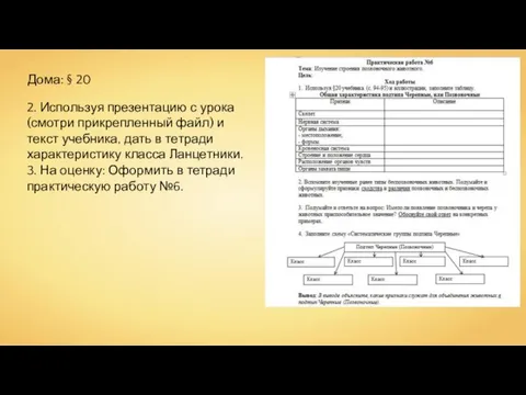 Дома: § 20 2. Используя презентацию с урока (смотри прикрепленный файл)