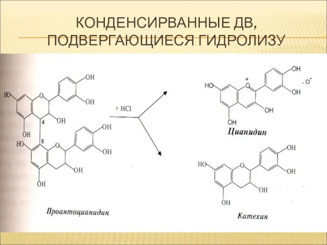 КОНДЕНСИРВАННЫЕ ДВ, ПОДВЕРГАЮЩИЕСЯ ГИДРОЛИЗУ