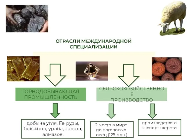 ГОРНОДОБЫВАЮЩАЯ ПРОМЫШЛЕННОСТЬ СЕЛЬСКОХОЗЯЙСТВЕННОЕ ПРОИЗВОДСТВО 2 место в мире по поголовью овец