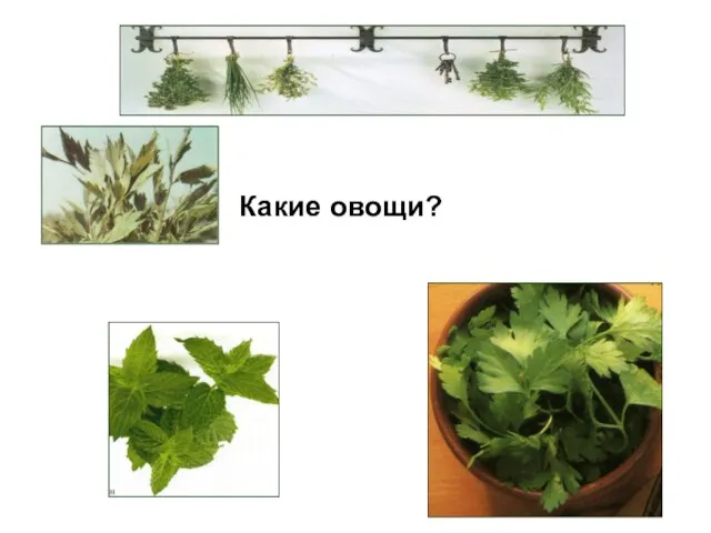 Какие овощи?