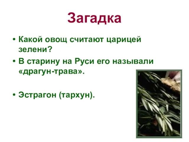 Загадка Какой овощ считают царицей зелени? В старину на Руси его называли «драгун-трава». Эстрагон (тархун).