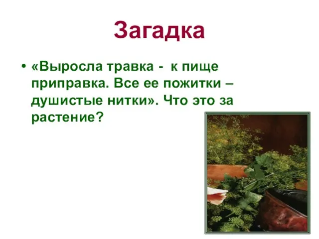 Загадка «Выросла травка - к пище приправка. Все ее пожитки –