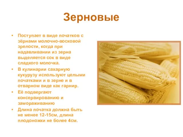 Зерновые Поступает в виде початков с зёрнами молочно-восковой зрелости, когда при