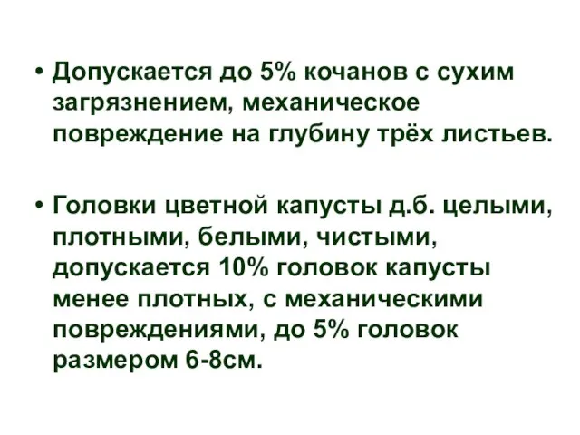 Допускается до 5% кочанов с сухим загрязнением, механическое повреждение на глубину