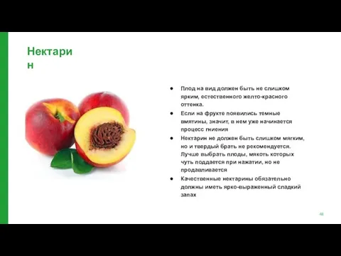 Нектарин Плод на вид должен быть не слишком ярким, естественного желто-красного
