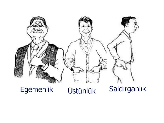 Saldırganlık Üstünlük Egemenlik