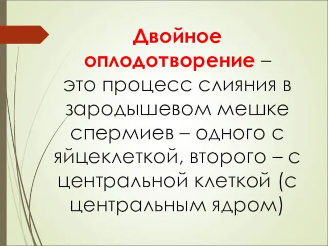 Двойное оплодотворение – это процесс слияния в зародышевом мешке спермиев –