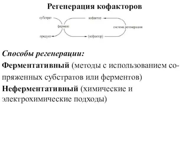 Регенерация кофакторов Способы регенерации: Ферментативный (методы с использованием со- пряженных субстратов