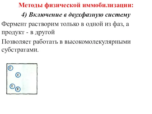 Методы физической иммобилизации: 4) Включение в двухфазную систему Фермент растворим только