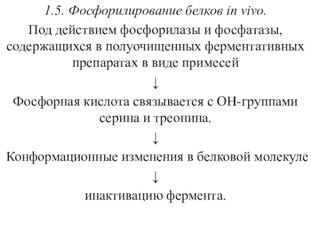 1.5. Фосфорилирование белков in vivo. Под действием фосфорилазы и фосфатазы, содержащихся