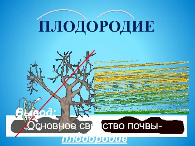 ПЛОДОРОДИЕ Вывод: Основное свойство почвы- плодородие