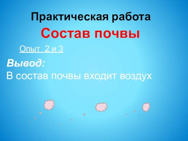 Практическая работа Состав почвы Опыт 2 и 3 Вывод: В состав почвы входит воздух