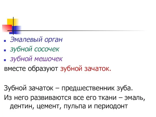 Эмалевый орган зубной сосочек зубной мешочек вместе образуют зубной зачаток. Зубной