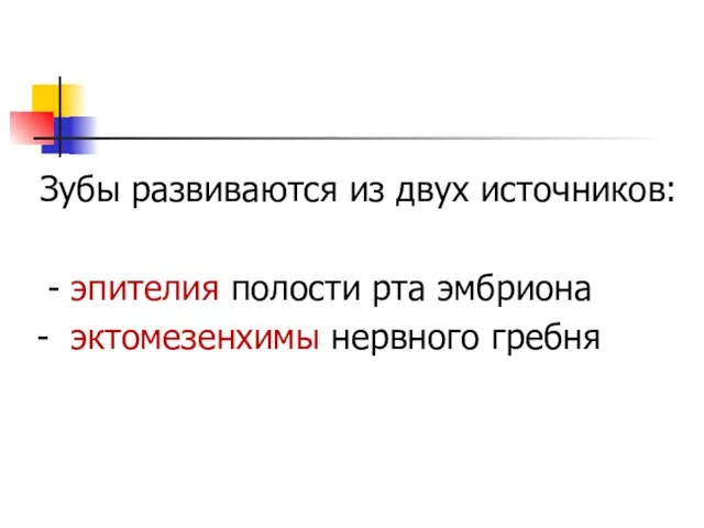 Зубы развиваются из двух источников: - эпителия полости рта эмбриона - эктомезенхимы нервного гребня