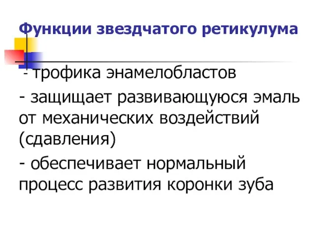 Функции звездчатого ретикулума - трофика энамелобластов - защищает развивающуюся эмаль от