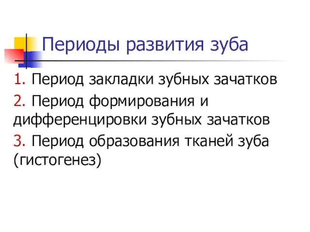 Периоды развития зуба 1. Период закладки зубных зачатков 2. Период формирования