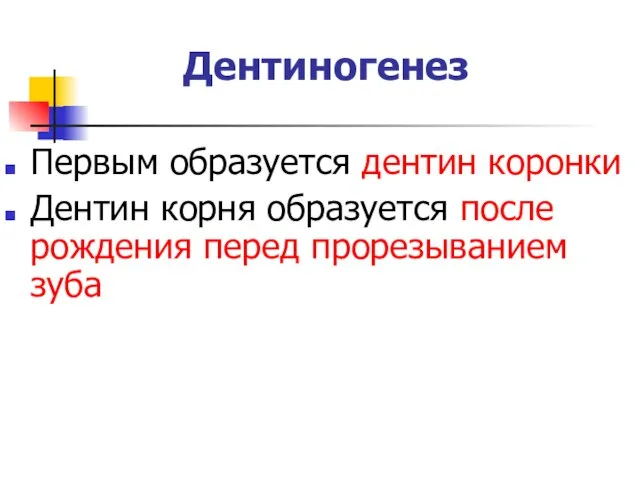 Дентиногенез Первым образуется дентин коронки Дентин корня образуется после рождения перед прорезыванием зуба