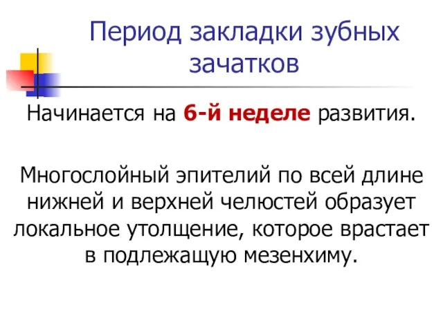 Период закладки зубных зачатков Начинается на 6-й неделе развития. Многослойный эпителий