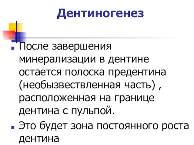 Дентиногенез После завершения минерализации в дентине остается полоска предентина (необызвествленная часть)