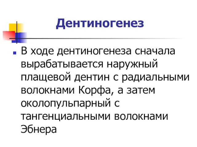 Дентиногенез В ходе дентиногенеза сначала вырабатывается наружный плащевой дентин с радиальными