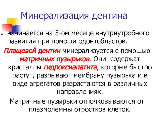 Минерализация дентина начинается на 5-ом месяце внутриутробного развития при помощи одонтобластов.